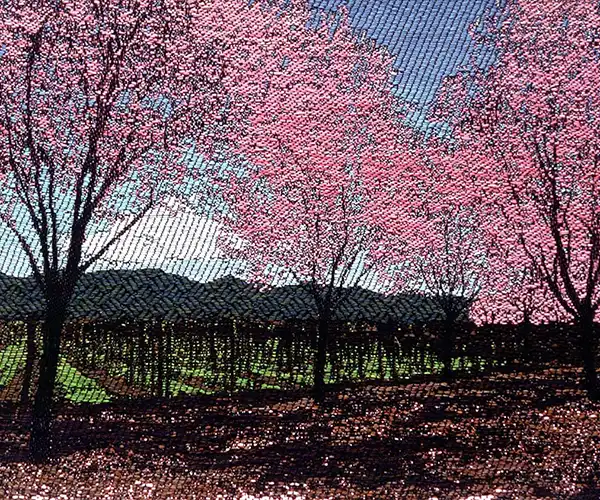 Sheila O'Hara Blossom Creek, 2002