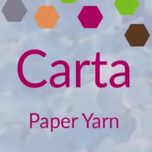 Carta Paper GevolveYarn