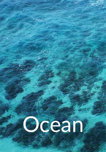 Ocean Colorway