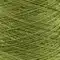 Stainless Steel Lead Green Tetsu Swatch