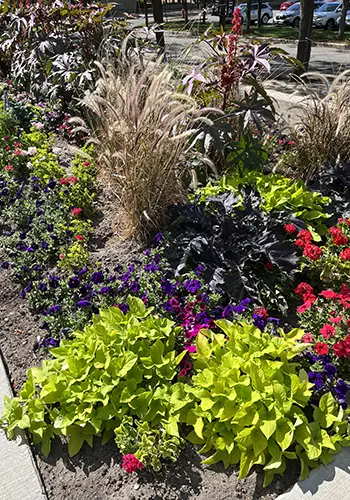 garden in logan utah