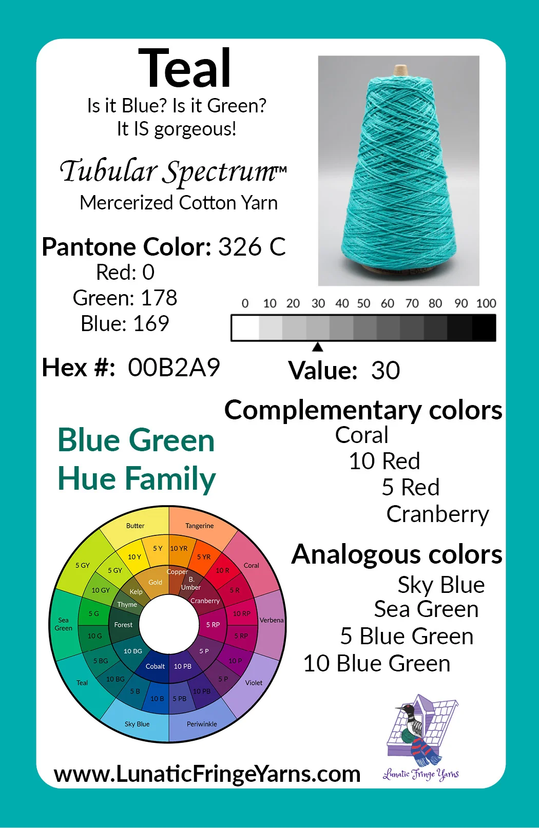 Teal Playing with Color Card